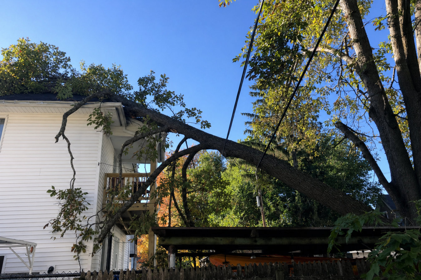 Emergency tree service in El Monte, CA