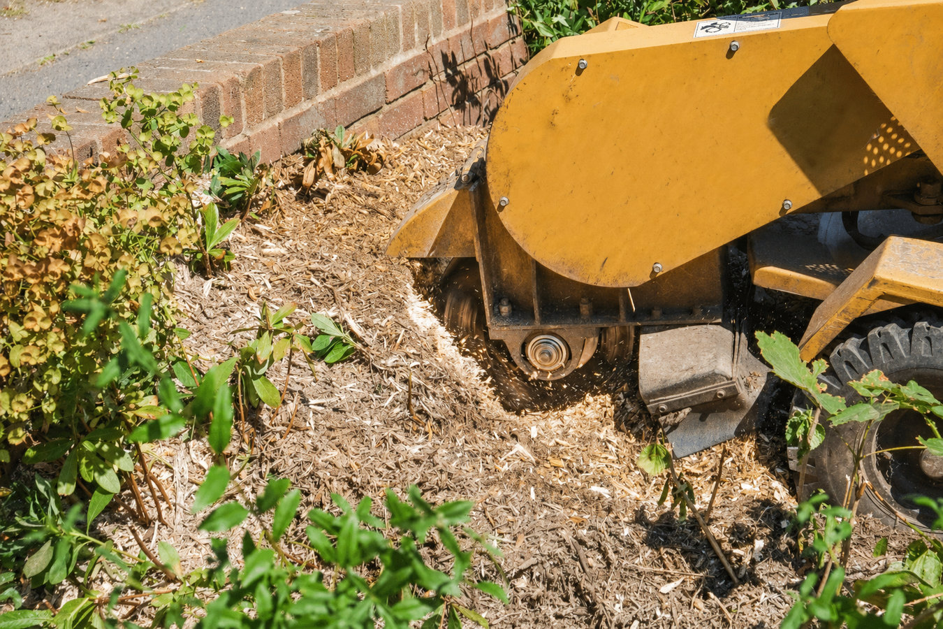 Stump grinding in El Monte, CA