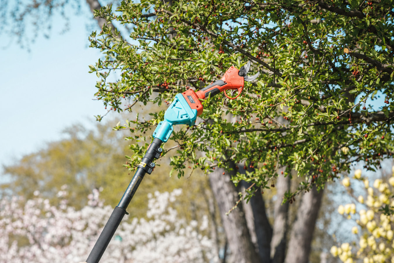 Tree pruning in El Monte, CA